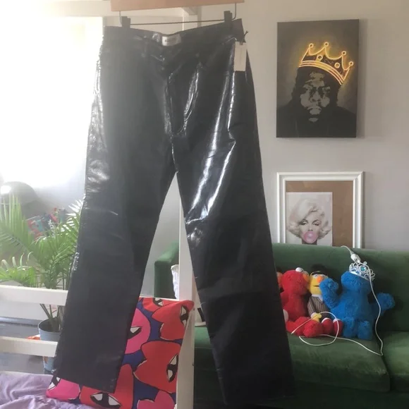 AGOLDE recycled leather 90’s pinch waist pants carbon size 30 NWT